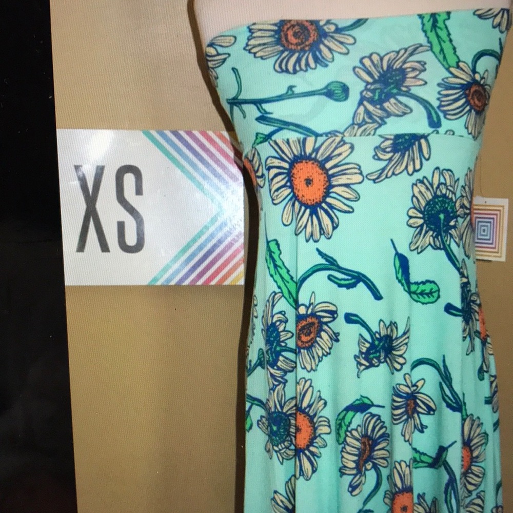 XS LuLaRoe Maxi Skirt